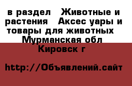  в раздел : Животные и растения » Аксесcуары и товары для животных . Мурманская обл.,Кировск г.